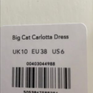 Whistles Big Cat Carlotta Robe Bleu Sarcelle Imprimé Animal UK16 BNWT RRP179 Whistles Big Cat Carlotta Robe Bleu Sarcelle Imprimé Animal UK16 BNWT RRP179